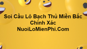 Soi cầu bạch thủ lô Miền Bắc