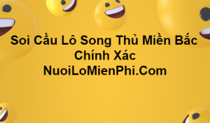 Soi cầu lô song thủ Miền Bắc