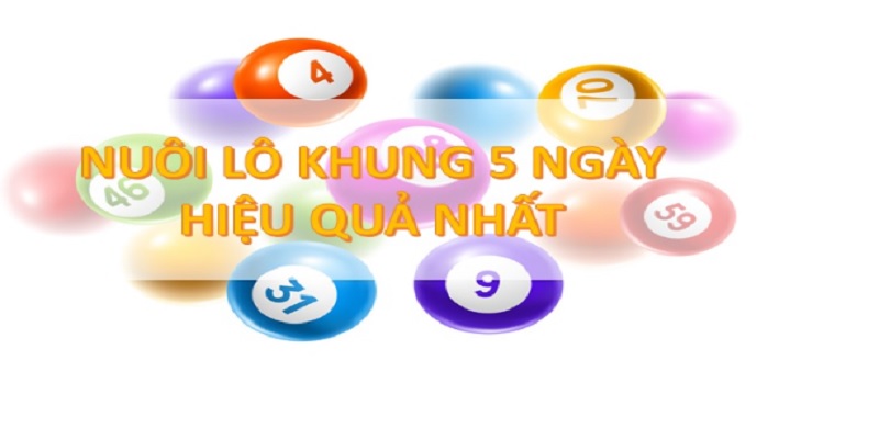 nuoi-lo-khung